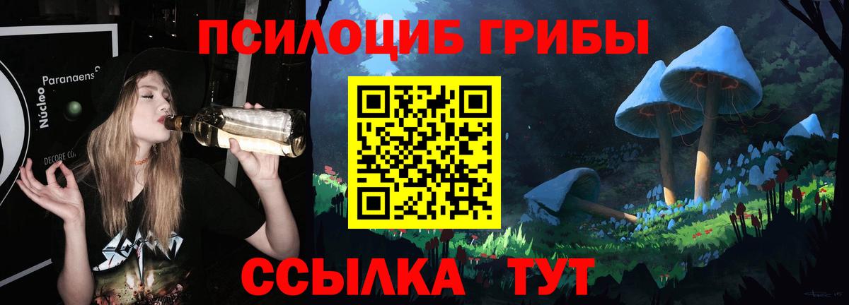 Кимовск  Псилоцибиновые грибы Psilocybine cubensis  Вход с VPN  дарнет шоп  Псилоцибиновые грибы Cubensis 